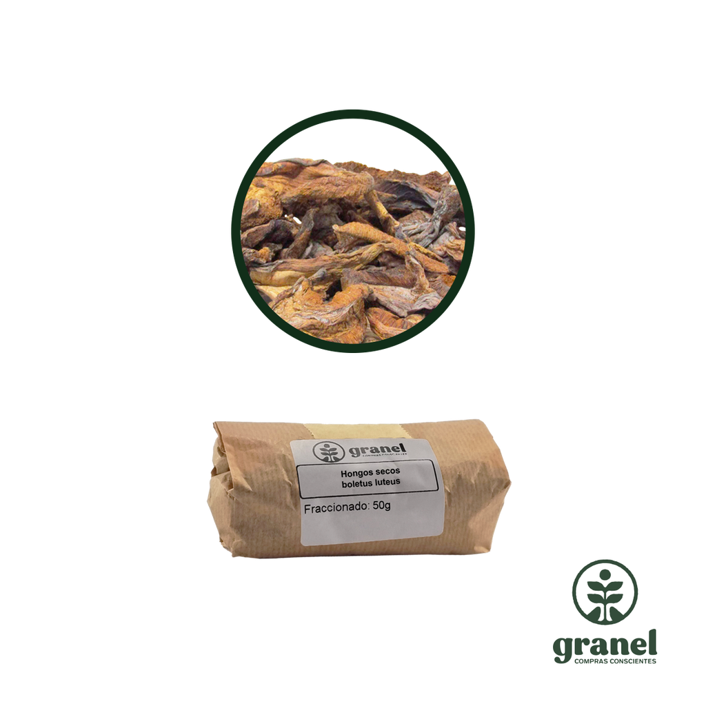 Hongos secos boletus luteus 50g