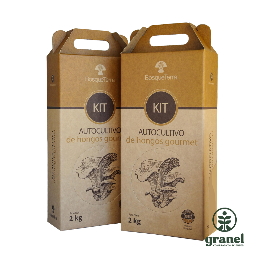 Kit autocultivo de hongos gourmet grises Bosqueterra 2kg