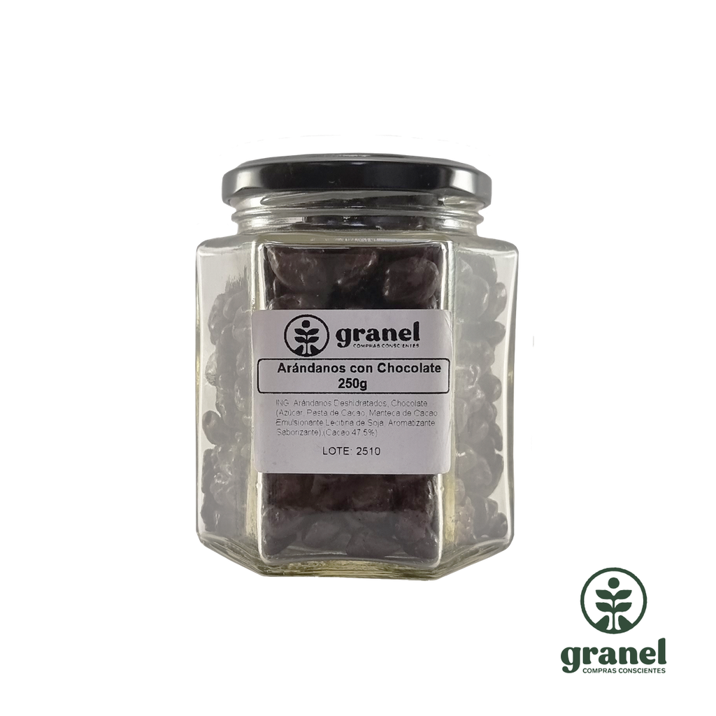 Pasas de arándanos con chocolate semi amargo en frasco de vidrio 250g