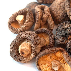 Alimentos / Conservas / Hongos / Shiitake