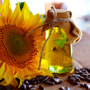 Alimentos / Aceites / Aceite girasol