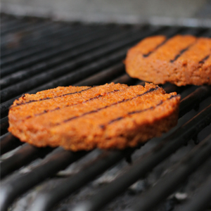 Alimentos / Congelados / Hamburguesa