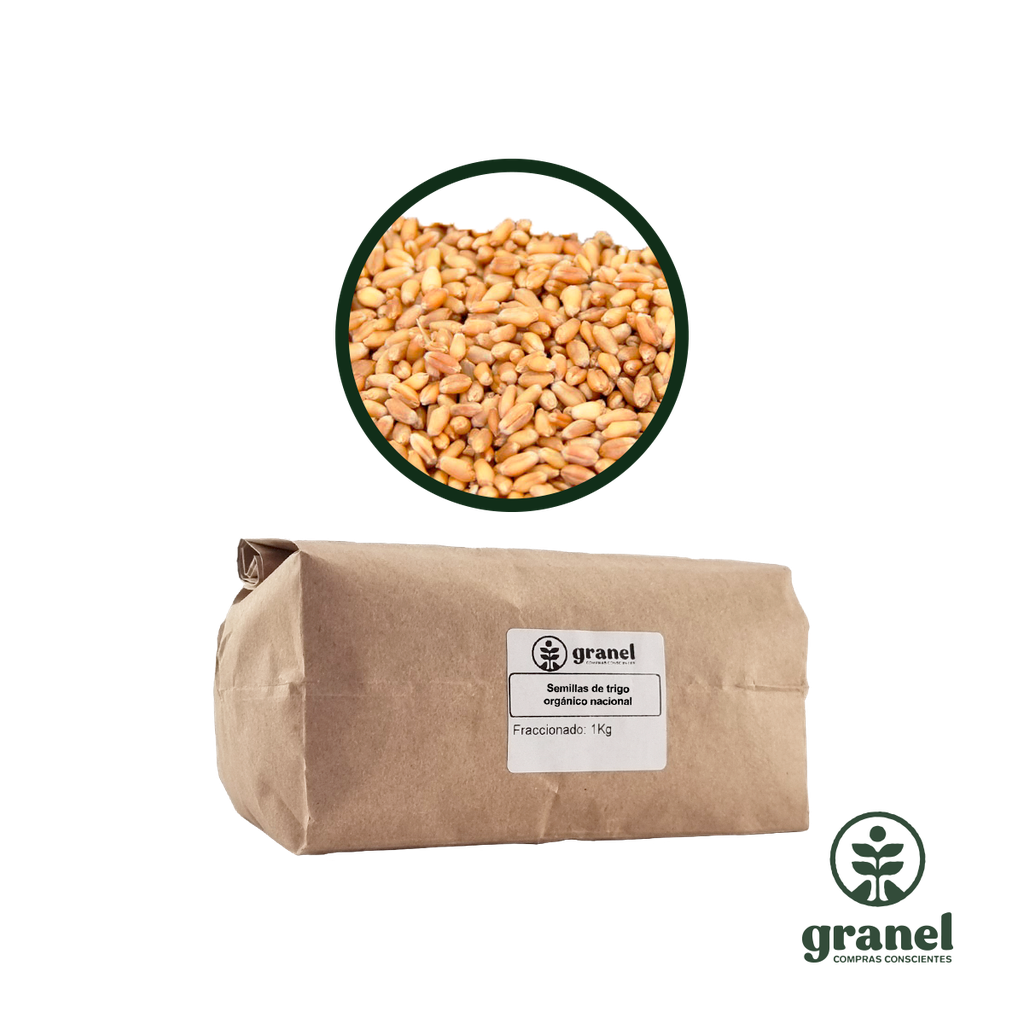 Semillas de trigo orgánico nacional 1kg