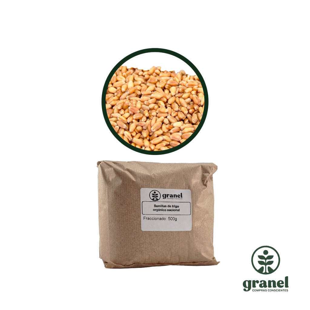 Semillas de trigo orgánico nacional 500g
