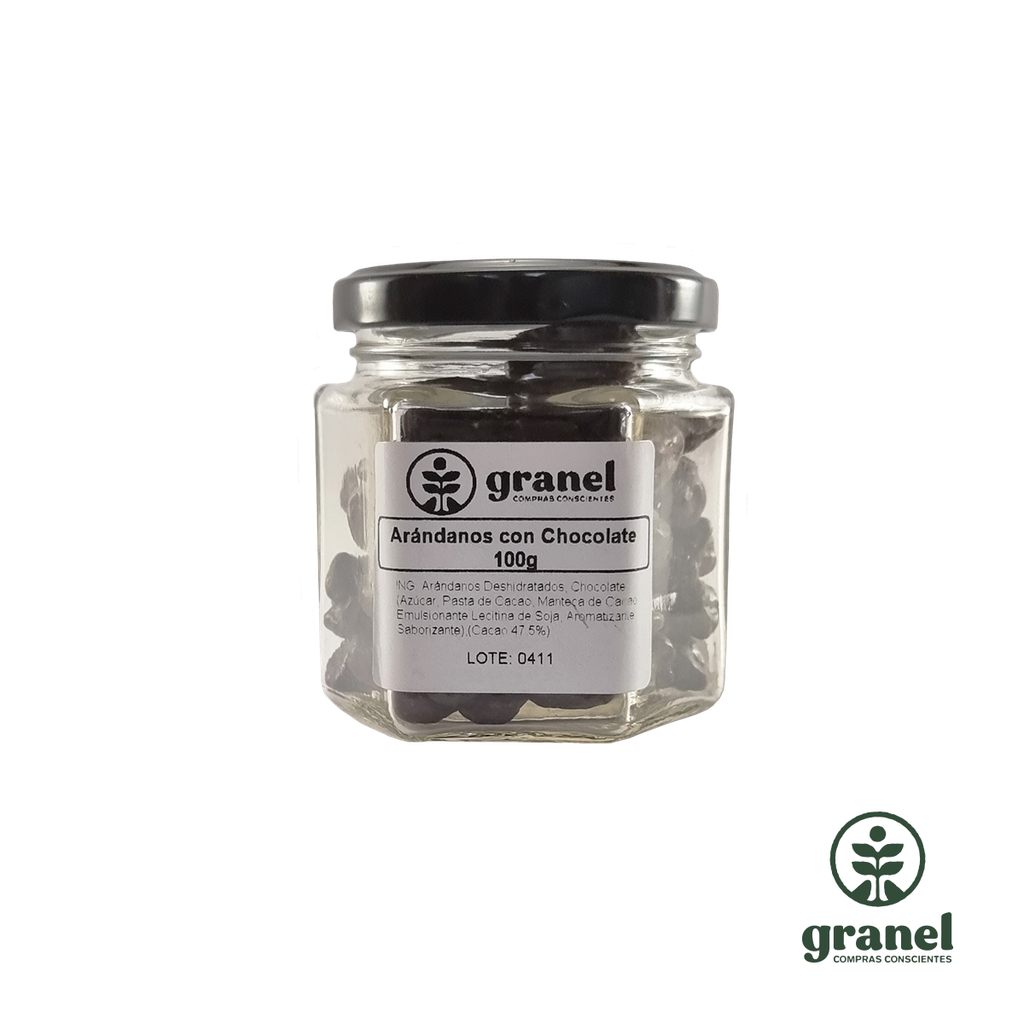 Pasas de arándanos con chocolate semi amargo en frasco de vidrio 100g