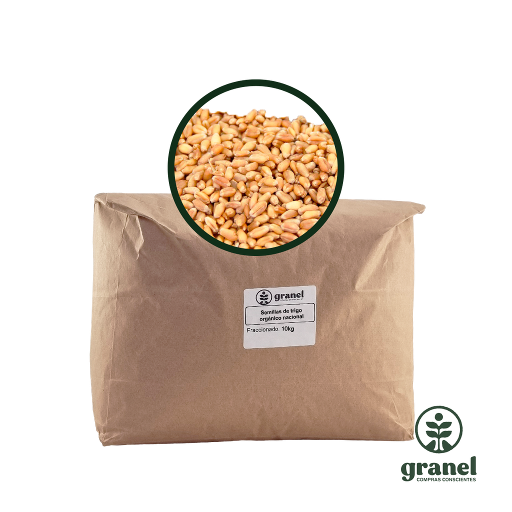 Semillas de trigo orgánico nacional 10kg